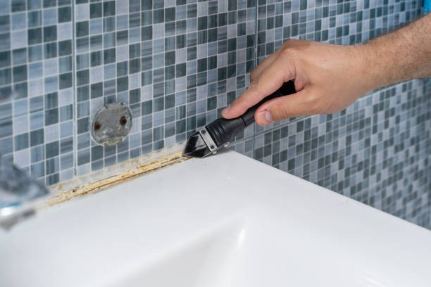 Best Emergency Mold Remediation in Texas City, TX