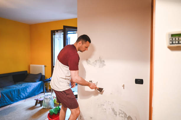 Best Industrial Mold Remediation in Texas City, TX